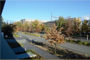 Homely Modern Apt between the Lake and City - Hosted by CanStay