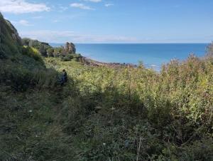 Appartements l-Intermede - Logement bord de mer : photos des chambres