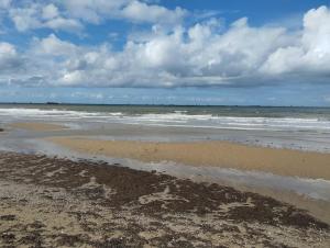 Appartements l-Intermede - Logement bord de mer : photos des chambres