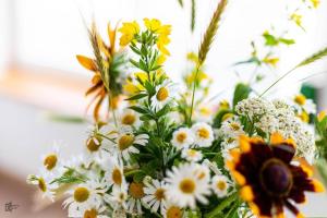 Dziewanowskiego by Downtown Apartments