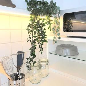 Ferien und Business Appartement mit Loggia