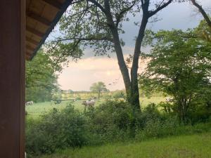 Maisons de vacances Gite renove pleine nature Kerdary : photos des chambres