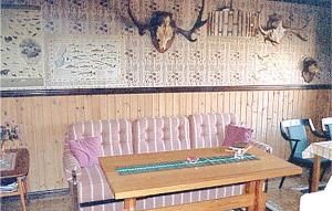 Nice Home In Blomstermåla With Sauna