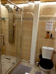 B&B / Chambres d'hotes La Loge Du Vieux Lyon : photos des chambres