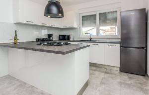 4 Bedroom Nice Home In Slivnica Donja