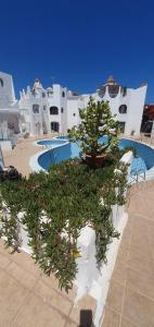 wonderful white appartament in playa las americas