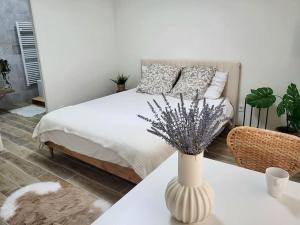 Romance studio hyper centre