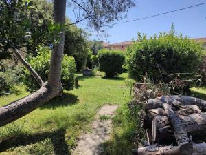 Villas Maison confortable avec grand jardin : photos des chambres