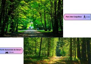 Oasis dException avec Terrasse Privée & Piscine !