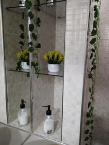 Buenos Aires Downtown