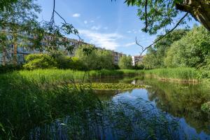Cozy seaside apartment