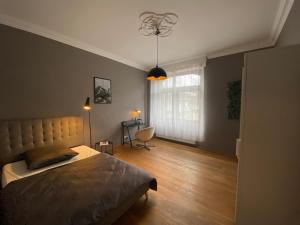 Zimmer mit Stuck in -Living Apartment Liebig54