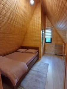 COLȚ DE RAI - A Frame