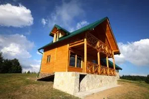 Vila Vis - Kokin Brod