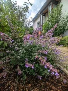 FeWo Am Lewerberg - Heiningen