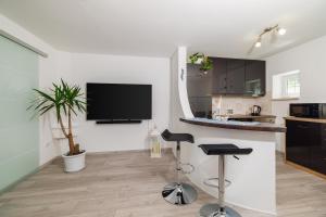 Apartment Lokvica 