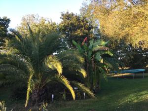 Maisons de vacances Chaumiere authentique : photos des chambres