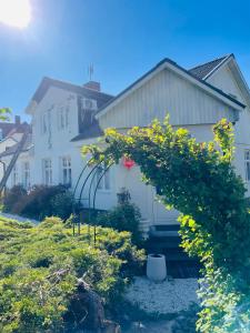 Köpmangatan11Borrby