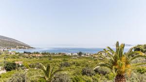Voukamvilia Junior Suite in Epidavros Shared Pool
