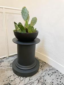 Studio Sarrazine - N5