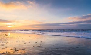 Tranquil Guest House