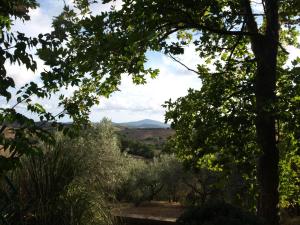 Agriturismo Podere 3 Querce