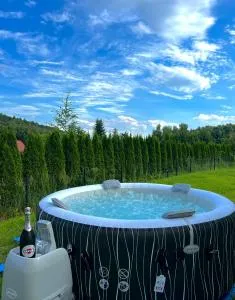 Dom obok lasu pod Krakowem - Kochanów