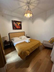 Chambres jardin des plantes pantheon