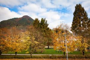 Apartments Artorius Laško