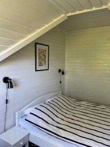 Aaviku Holiday Houses