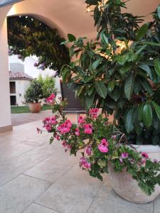 Apartments Grubelić - Perfect for Families and Small Groups