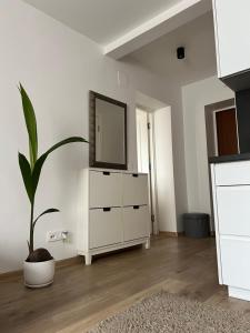 Dviejų kambarių apartamentai Šventojoje!