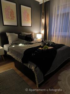 Apartament u fotografa Luboń - Poznań przy A2