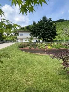 el Zhìgol B&B - Sernaglia della Battaglia