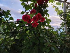 Kuća za odmor Silvano