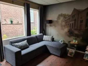 Appartement De Oliekan Small - 莱米尔