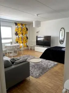 Studio in Paimio - 萨洛