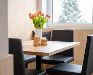 Appartment Silvrettahorn