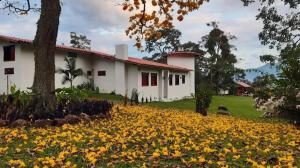 Casa Finca Madrid Mazzitelli