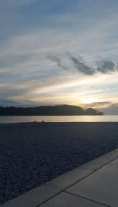 Apartment FN Adriatic 