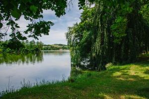 Guest House U Zlatého Jelena