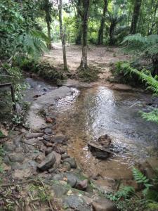 Casa temporada cachoeira