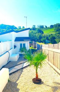 Maison des Palmiers - Bord de mer et campagne - 4hvězdičkové hotely ve městě Port-en-Bessin-Huppain