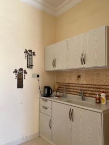 شقه مفروشه في حي البساتين بقيق