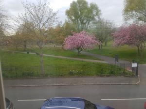 A Lovely and comfortable Home