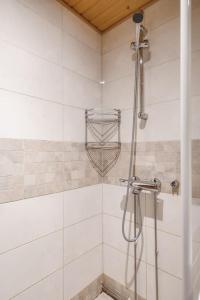 Spacious alpine flat in center of Levi!