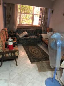 إسكندرية العجمى