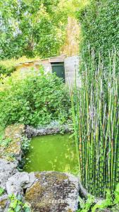 Villas Tres belle maison a 2 pas de la mer, 6 personnes : photos des chambres