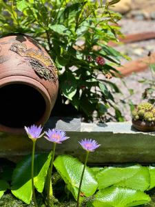 Homestay Chuyện Của Nắng - Nangs Story