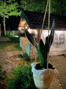 Kajaki wino i śpiew - domek z sauną w otoczeniu lasów i sąsiedztwie zalewu